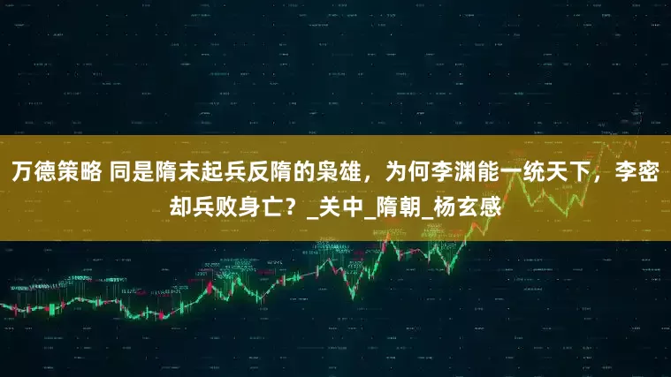 万德策略 同是隋末起兵反隋的枭雄，为何李渊能一统天下，李密却兵败身亡？_关中_隋朝_杨玄感