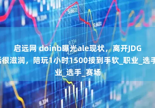 启远网 doinb曝光ale现状，离开JDG后生活很滋润，陪玩1小时1500接到手软_职业_选手_赛场